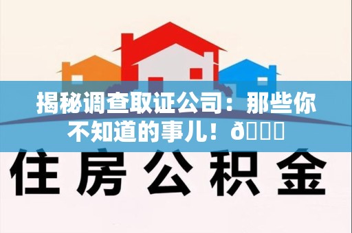龙海揭秘调查取证公司：那些你不知道的事儿！😎