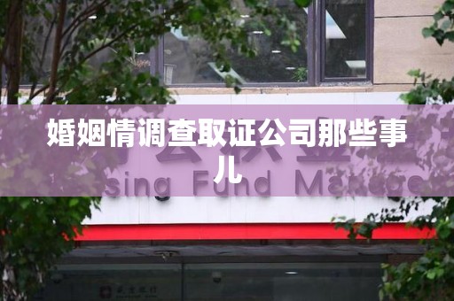龙海婚姻情调查取证公司那些事儿