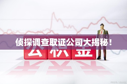 龙海侦探调查取证公司大揭秘！