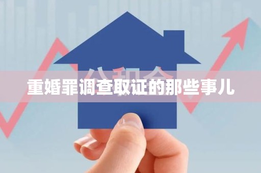 龙海重婚罪调查取证的那些事儿