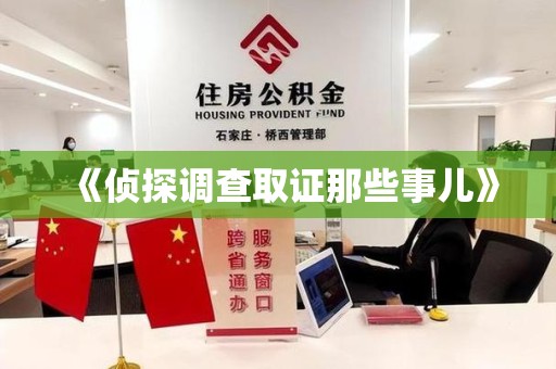 龙海《侦探调查取证那些事儿》
