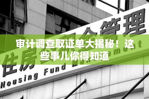 龙海审计调查取证单大揭秘！这些事儿你得知道