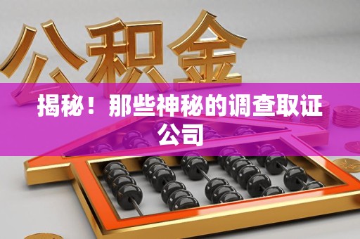 龙海揭秘！那些神秘的调查取证公司