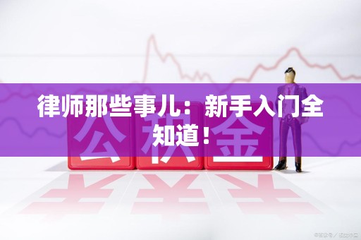 龙海律师那些事儿：新手入门全知道！