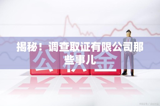龙海揭秘！调查取证有限公司那些事儿