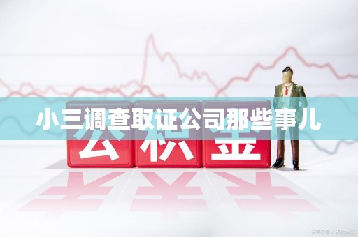 龙海小三调查取证公司那些事儿
