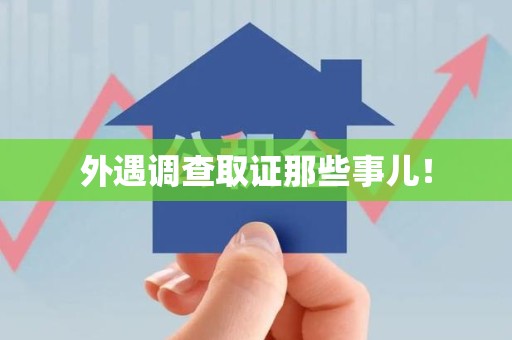 龙海外遇调查取证那些事儿！