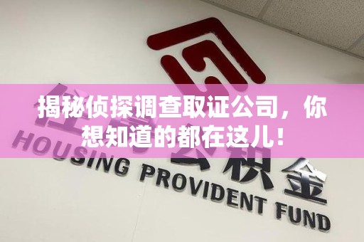 龙海揭秘侦探调查取证公司，你想知道的都在这儿！