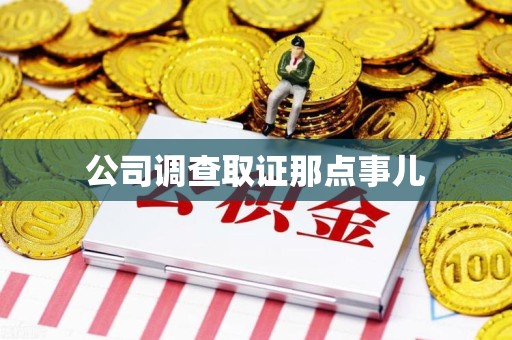 龙海公司调查取证那点事儿