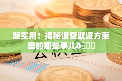 龙海超实用！揭秘调查取证方案里的那些事儿😎