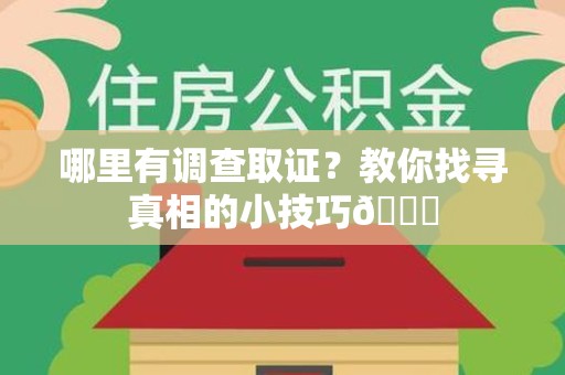 龙海哪里有调查取证？教你找寻真相的小技巧😎