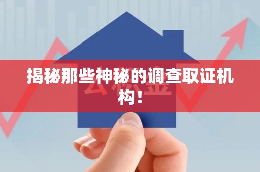 龙海揭秘那些神秘的调查取证机构！