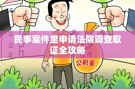 龙海民事案件里申请法院调查取证全攻略