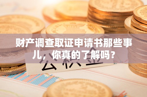 龙海财产调查取证申请书那些事儿，你真的了解吗？