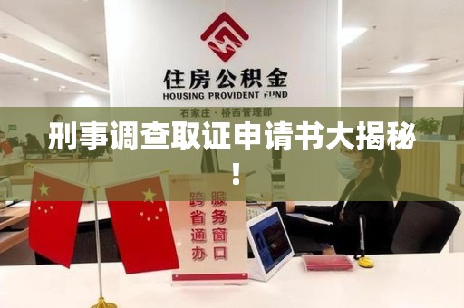 龙海刑事调查取证申请书大揭秘！