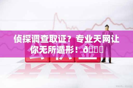 龙海侦探调查取证？专业天网让你无所遁形！😎