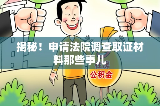 龙海揭秘！申请法院调查取证材料那些事儿