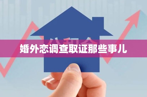 龙海婚外恋调查取证那些事儿