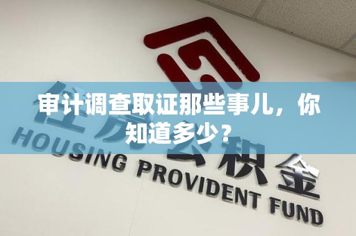 龙海审计调查取证那些事儿，你知道多少？