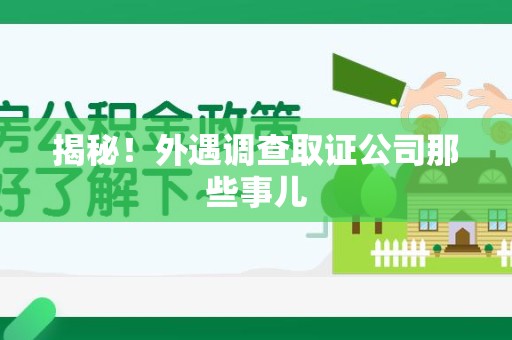 龙海揭秘！外遇调查取证公司那些事儿