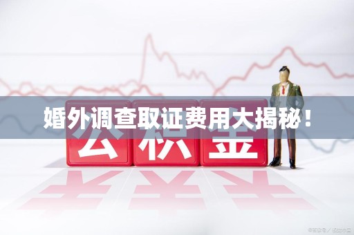 龙海婚外调查取证费用大揭秘！