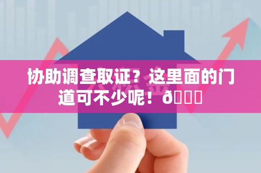 龙海协助调查取证？这里面的门道可不少呢！😎
