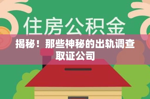 龙海揭秘！那些神秘的出轨调查取证公司