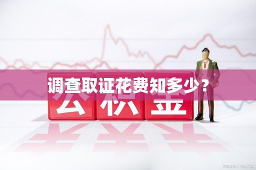 龙海调查取证花费知多少？