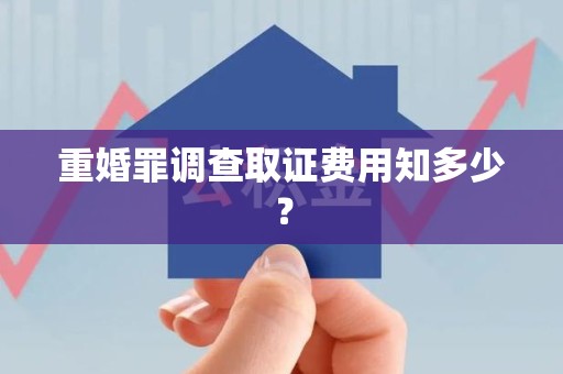 龙海重婚罪调查取证费用知多少？