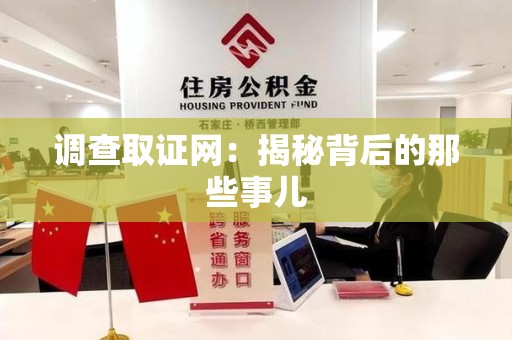 龙海调查取证网：揭秘背后的那些事儿