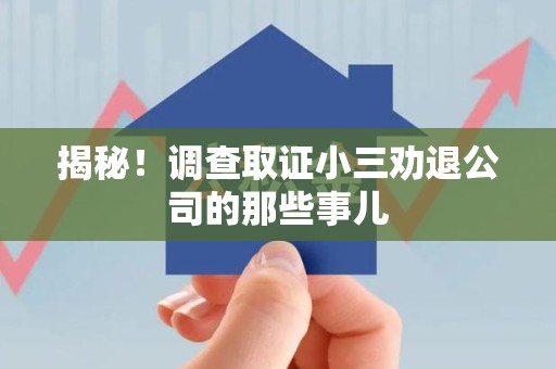 龙海揭秘！调查取证小三劝退公司的那些事儿