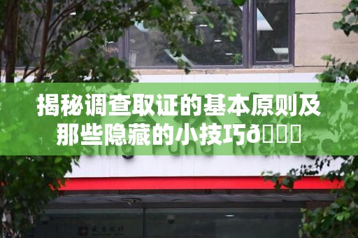 龙海揭秘调查取证的基本原则及那些隐藏的小技巧😎