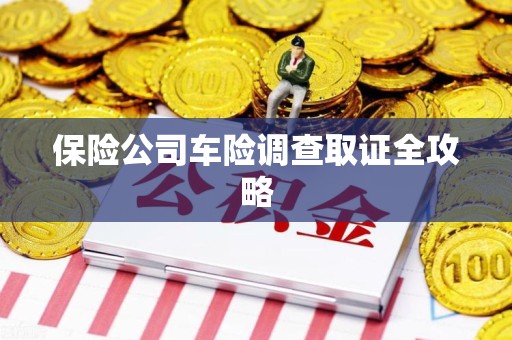 龙海保险公司车险调查取证全攻略