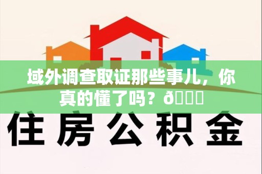龙海域外调查取证那些事儿，你真的懂了吗？😎
