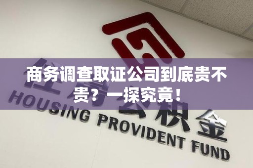 龙海商务调查取证公司到底贵不贵？一探究竟！