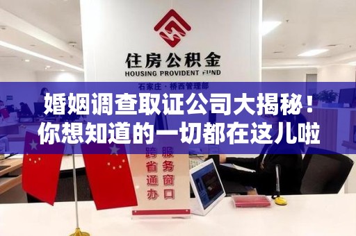 龙海婚姻调查取证公司大揭秘！你想知道的一切都在这儿啦😉