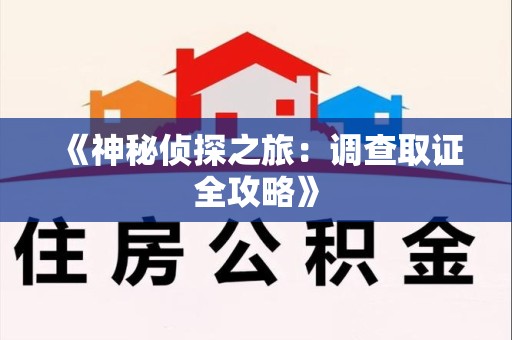 龙海《神秘侦探之旅：调查取证全攻略》