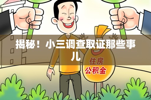 龙海揭秘！小三调查取证那些事儿