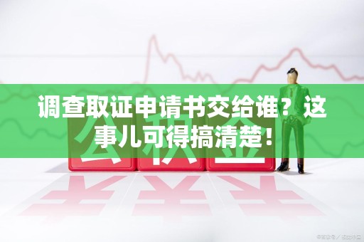 龙海调查取证申请书交给谁？这事儿可得搞清楚！