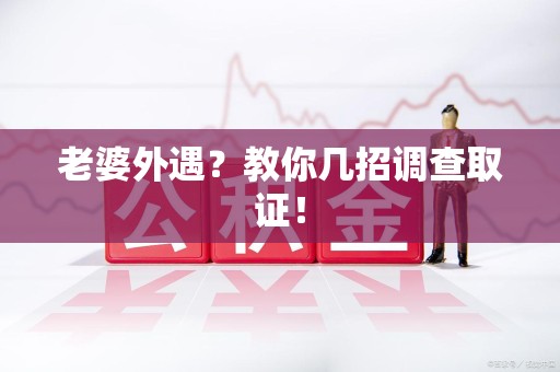 龙海老婆外遇？教你几招调查取证！