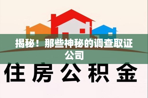 龙海揭秘！那些神秘的调查取证公司