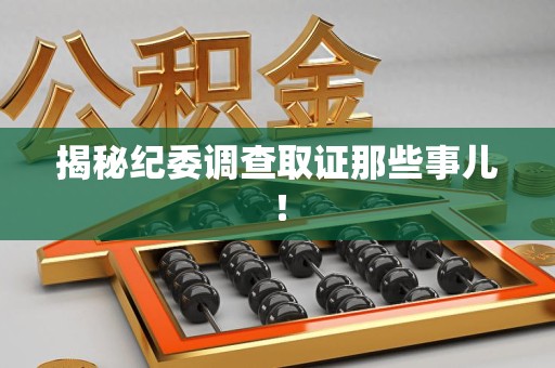 龙海揭秘纪委调查取证那些事儿！