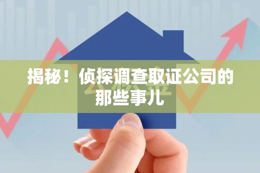 龙海揭秘！侦探调查取证公司的那些事儿