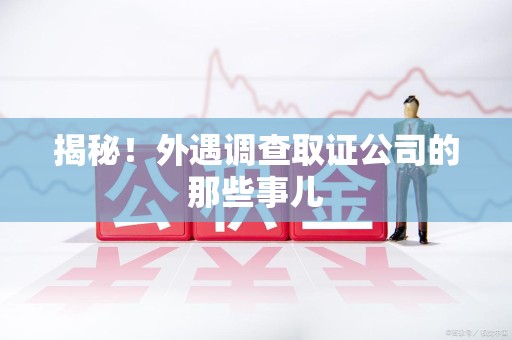 龙海揭秘！外遇调查取证公司的那些事儿
