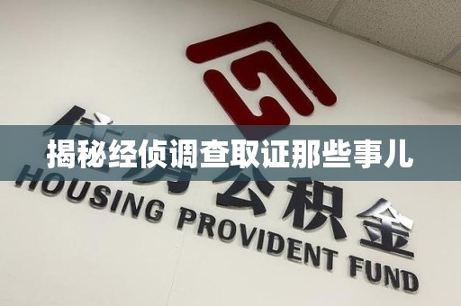 龙海揭秘经侦调查取证那些事儿