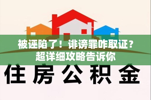 龙海被诬陷了！诽谤罪咋取证？超详细攻略告诉你