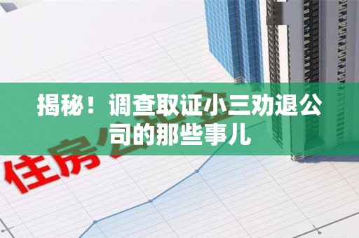 龙海揭秘！调查取证小三劝退公司的那些事儿
