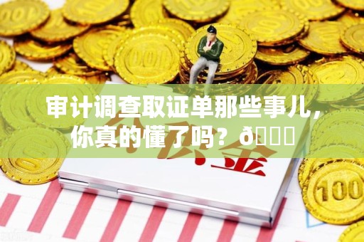 龙海审计调查取证单那些事儿，你真的懂了吗？😎