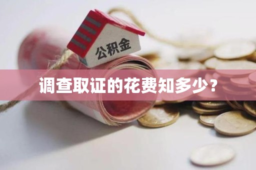 龙海调查取证的花费知多少？