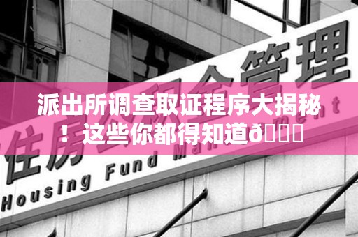 龙海派出所调查取证程序大揭秘！这些你都得知道😉